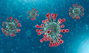 April 2020 - Pandemic