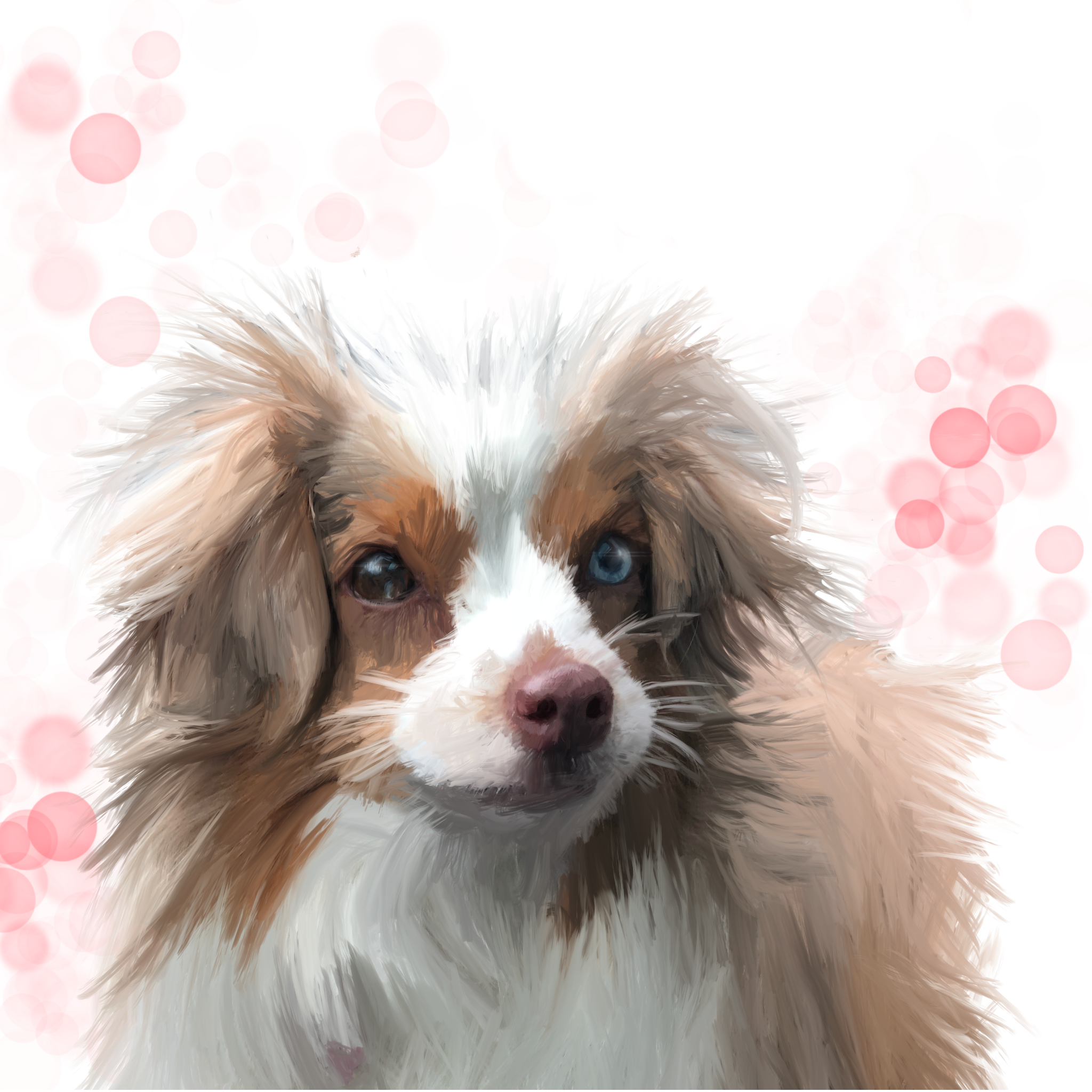 Contact for commissions