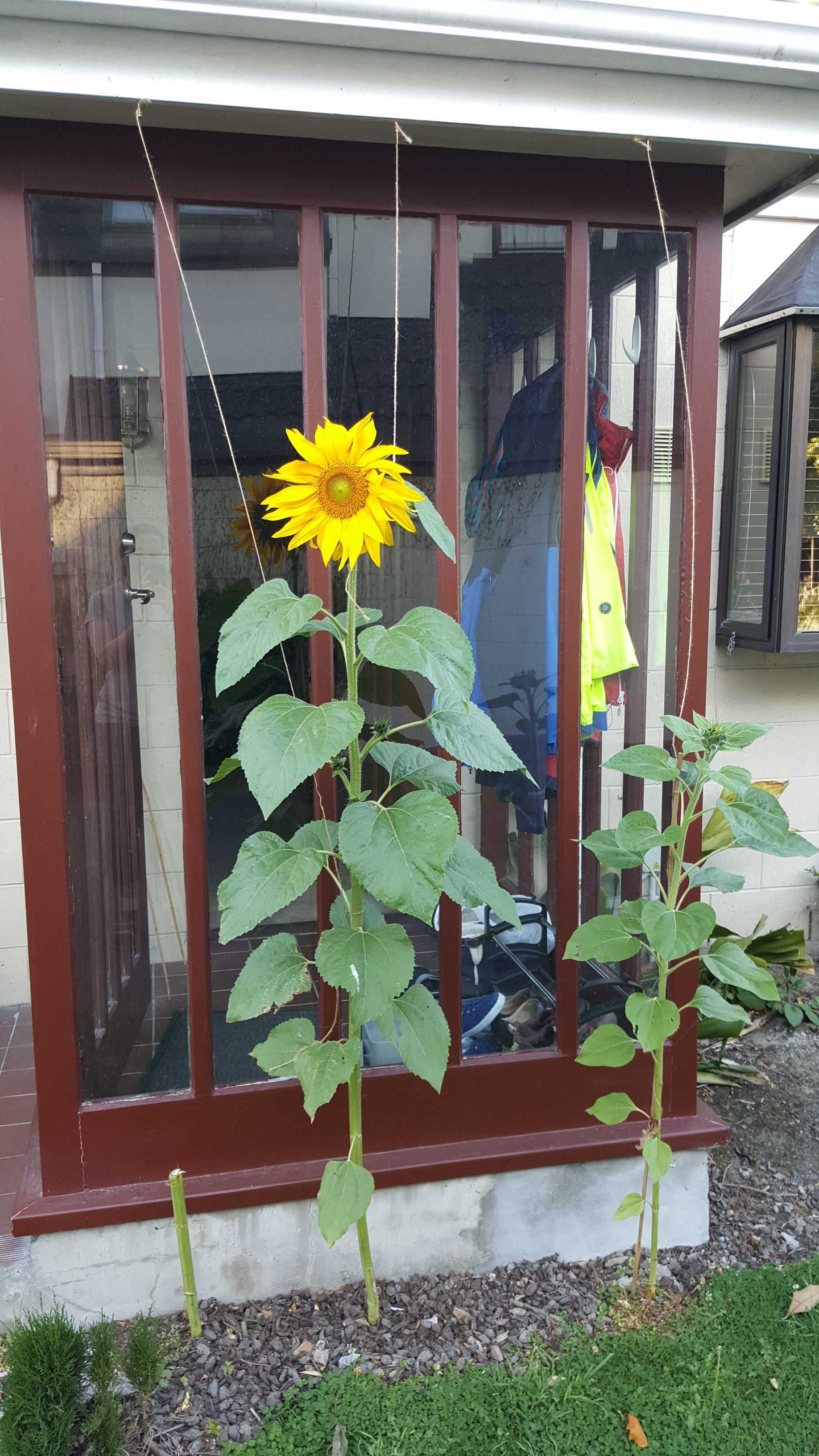 IMG-20190210-WA0000.jpeg