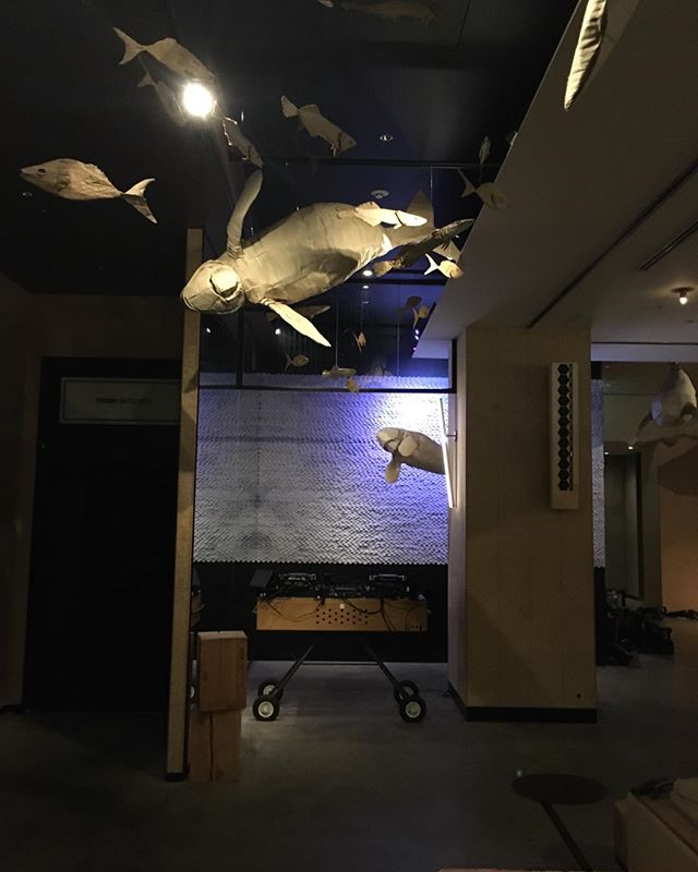 Dugong installation up at @trunkhotel  through Dec!