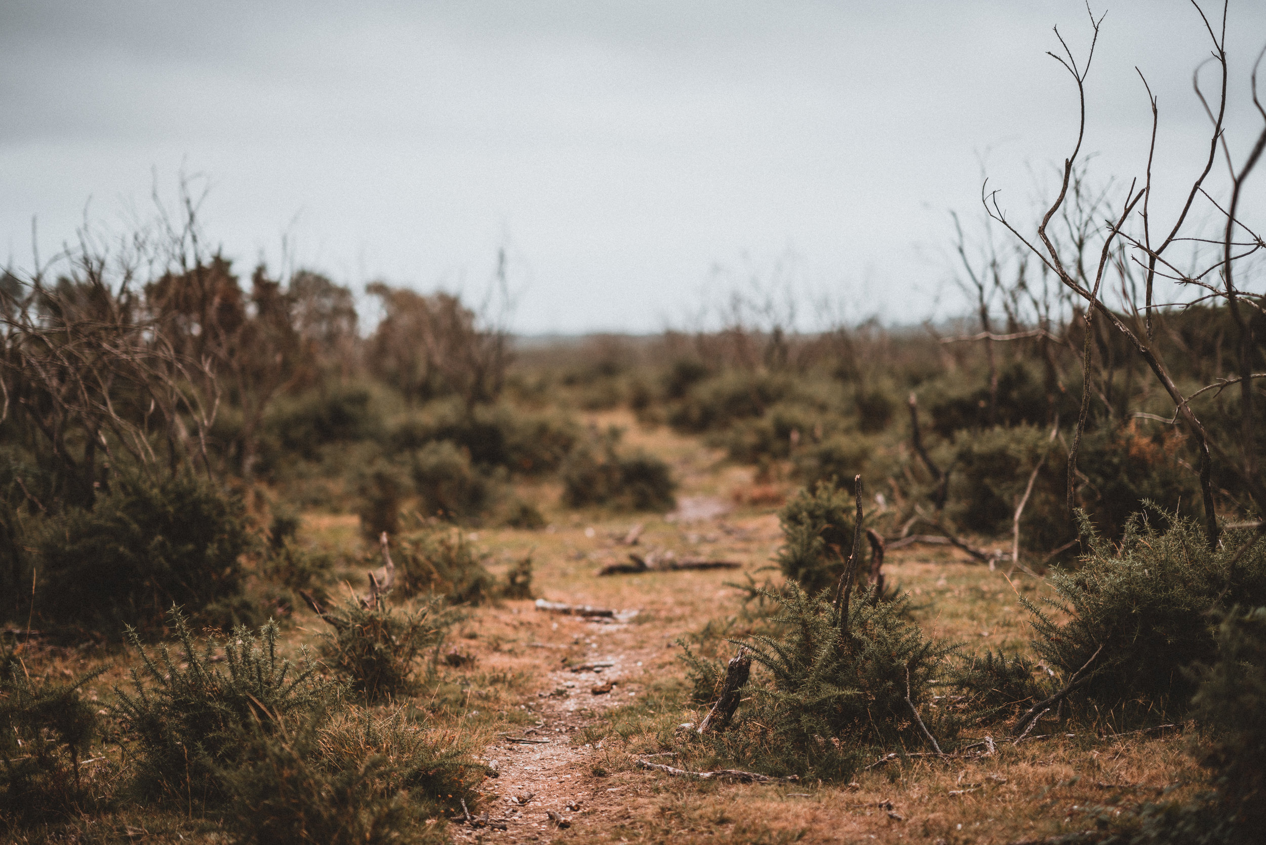 Preparing for the wilderness