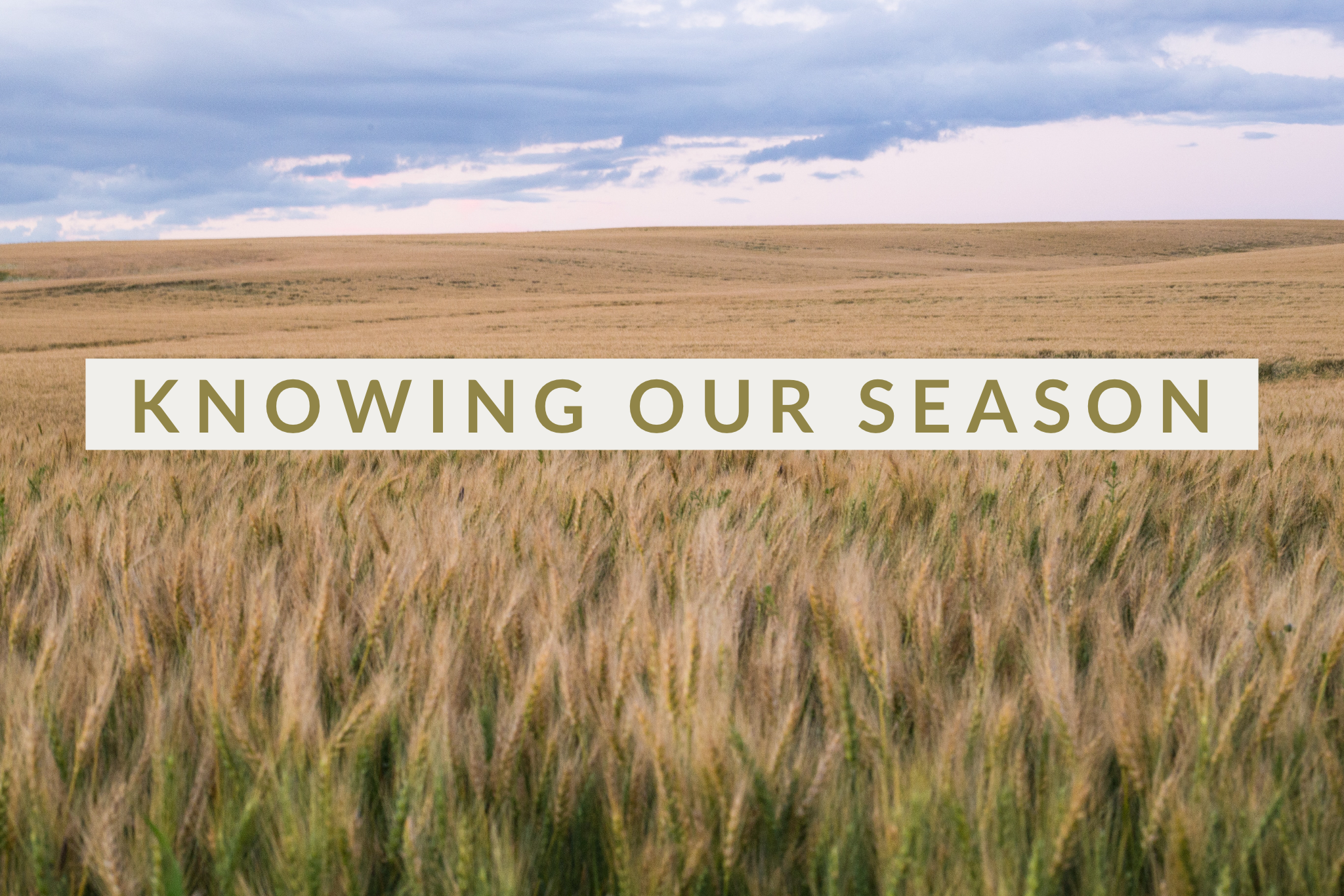 Knowing Our Season