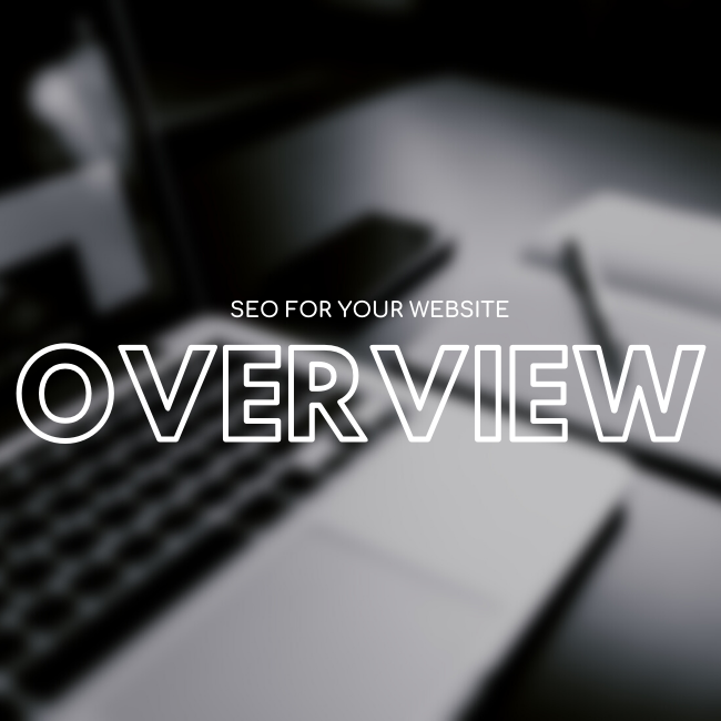 SEO For Website Articles overviews.png
