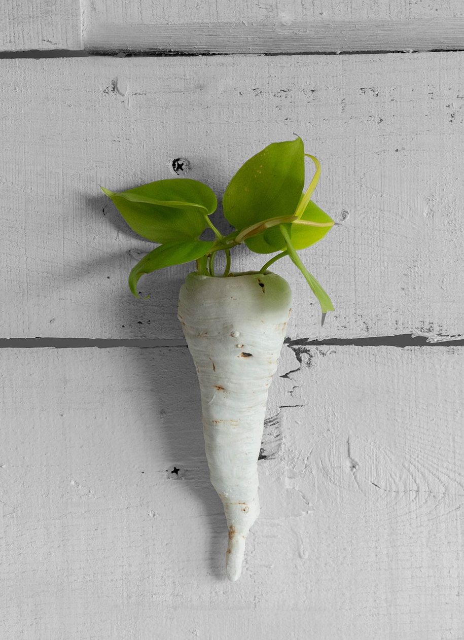 parsnip-planter.jpg