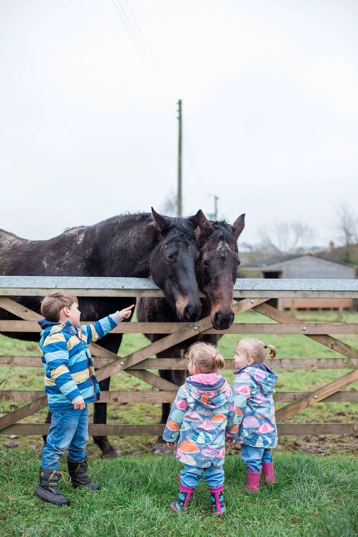 venetianorrington-devonfamilyphotographer_0390.jpg