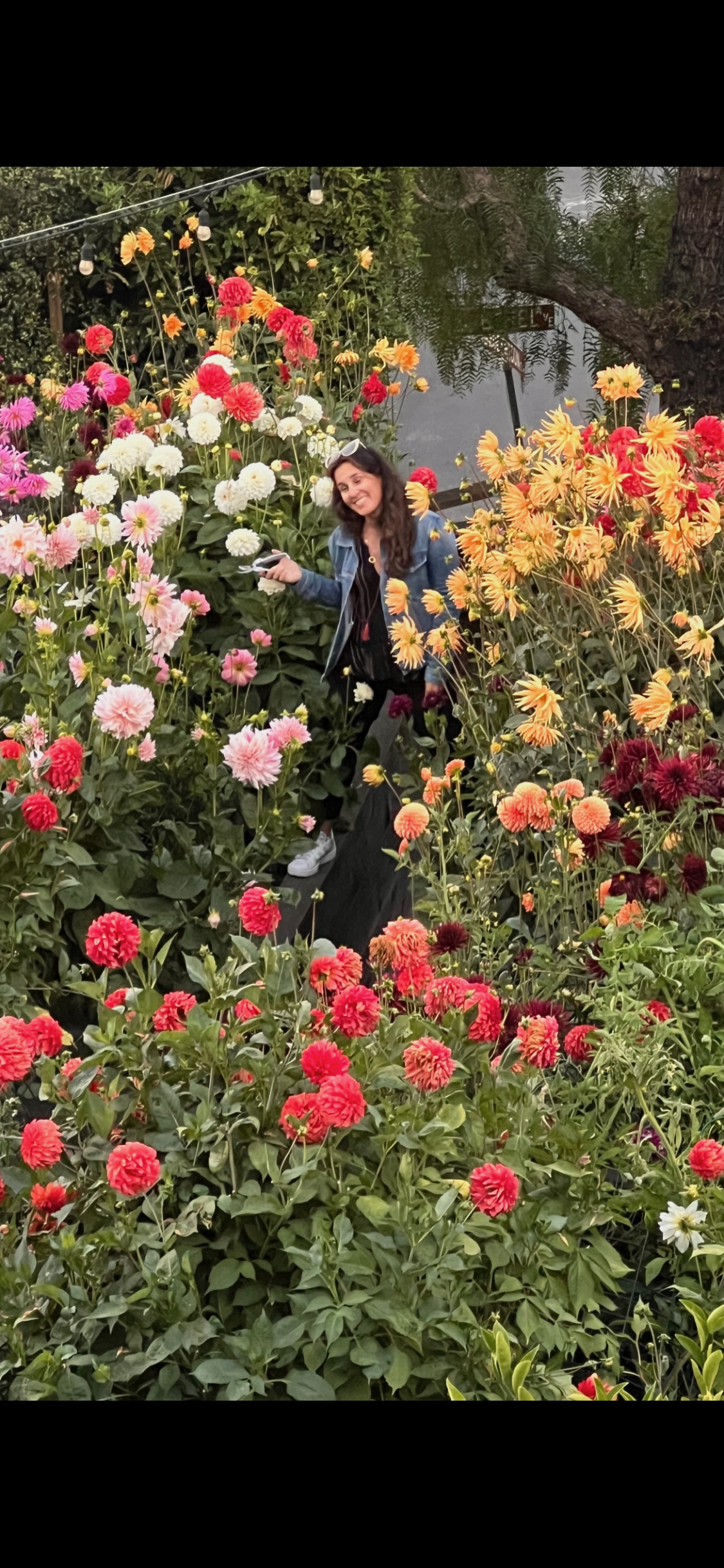 Garden Consulting