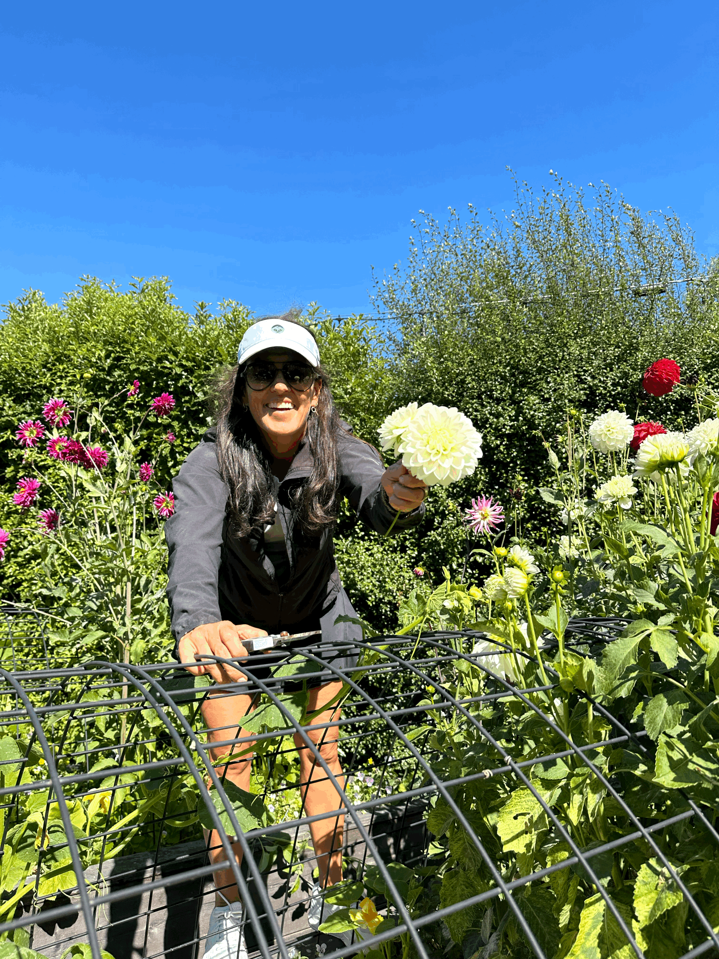 Garden Maintenance
