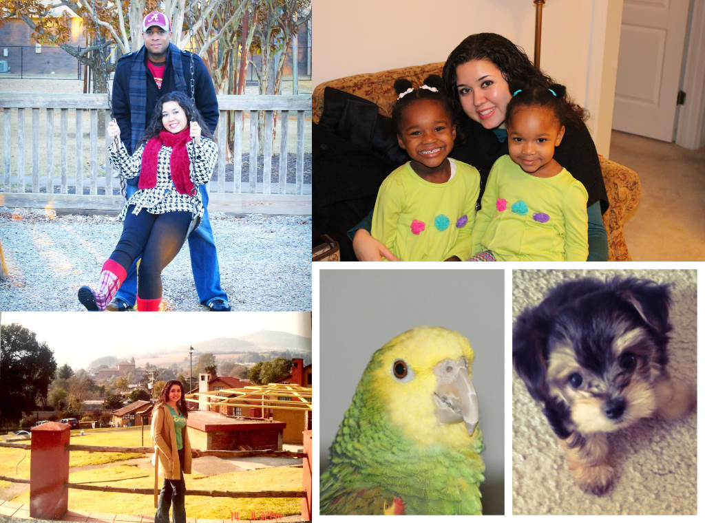Jackson collage.png