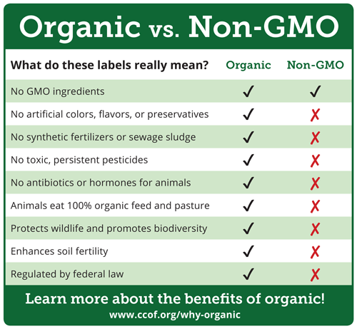 organic-vs-non-gmo-infographic-web.png