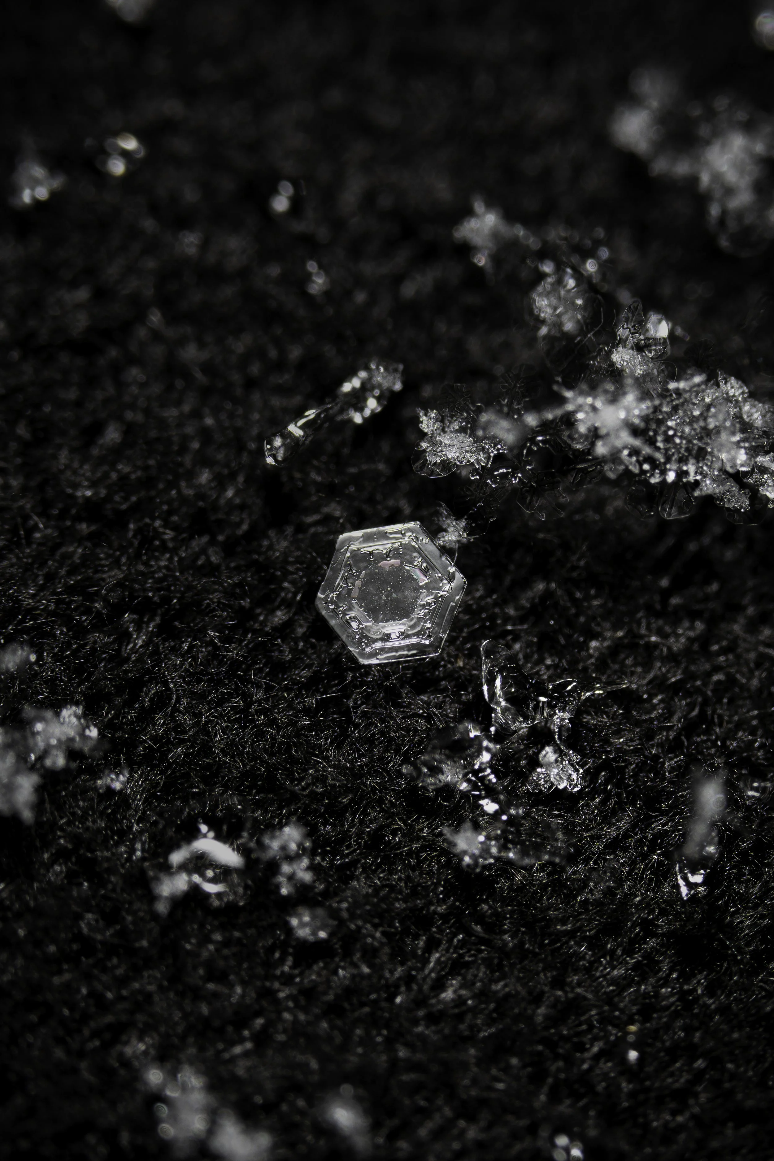 DSC_0301-Enhanced-SR.jpg