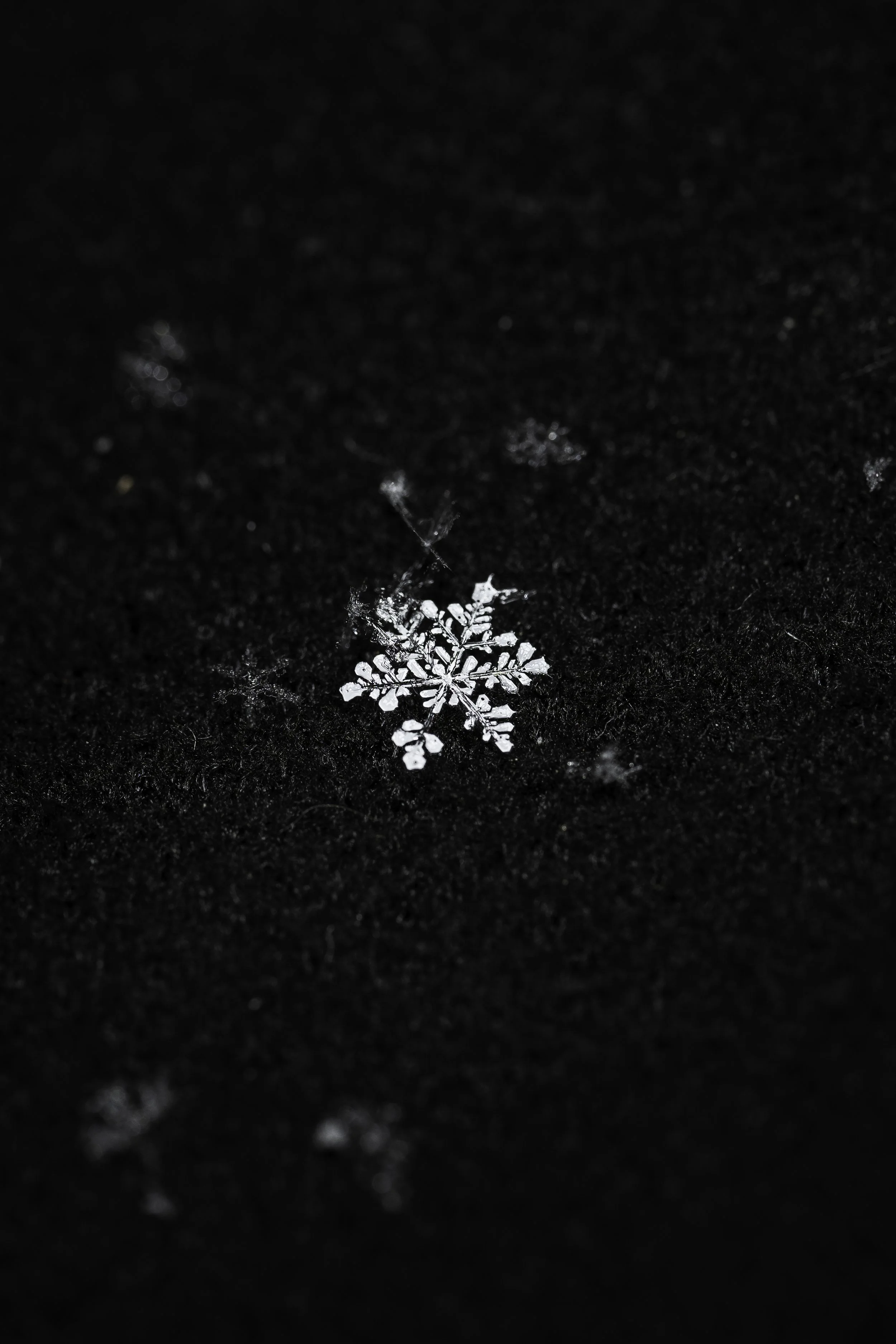 DSC_9608.jpg