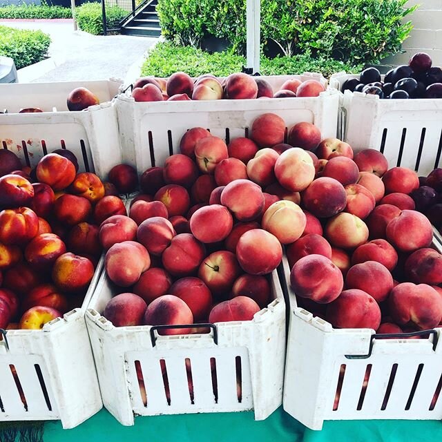 It&rsquo;s peach season. Ready to make a peach pie?