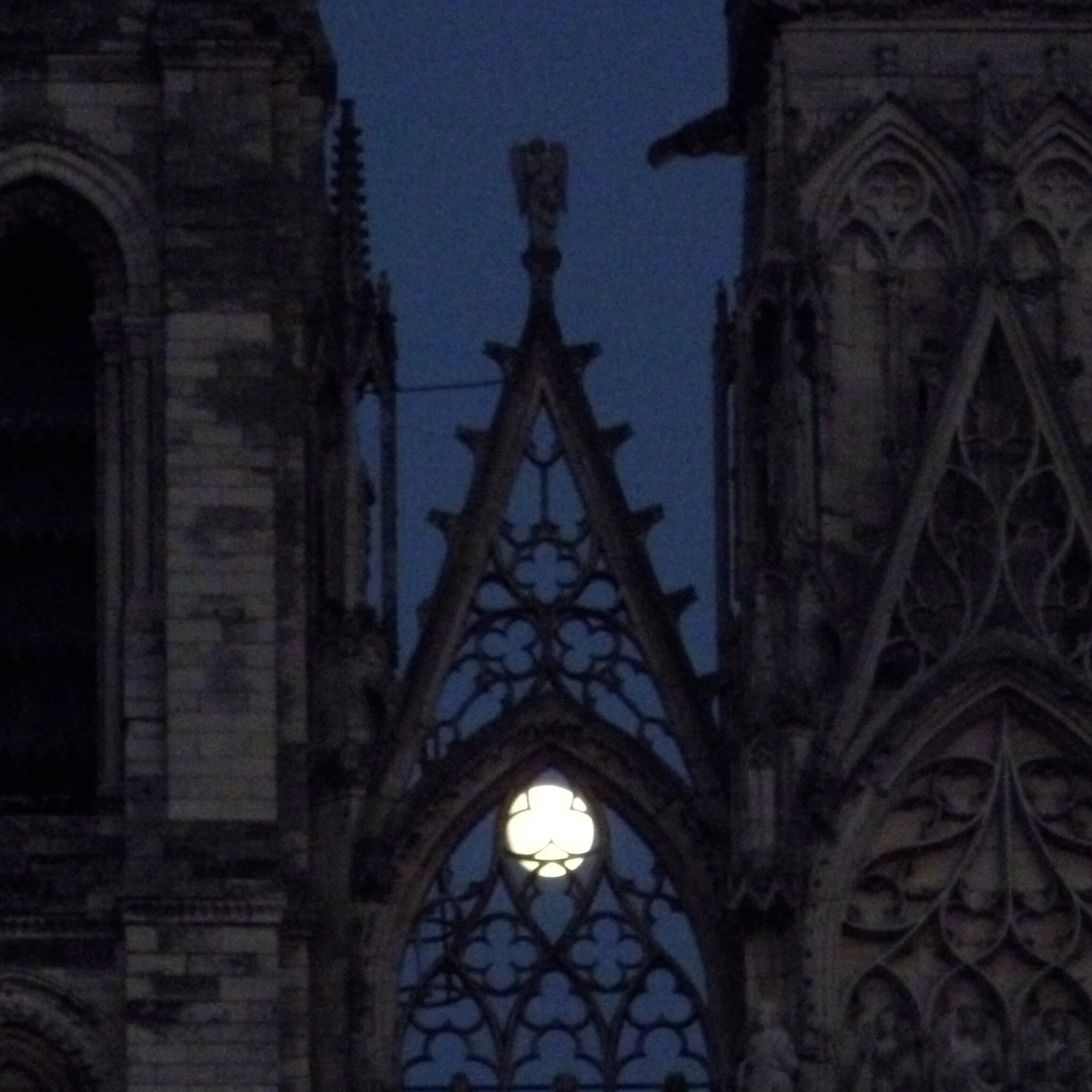 P1010264.jpg