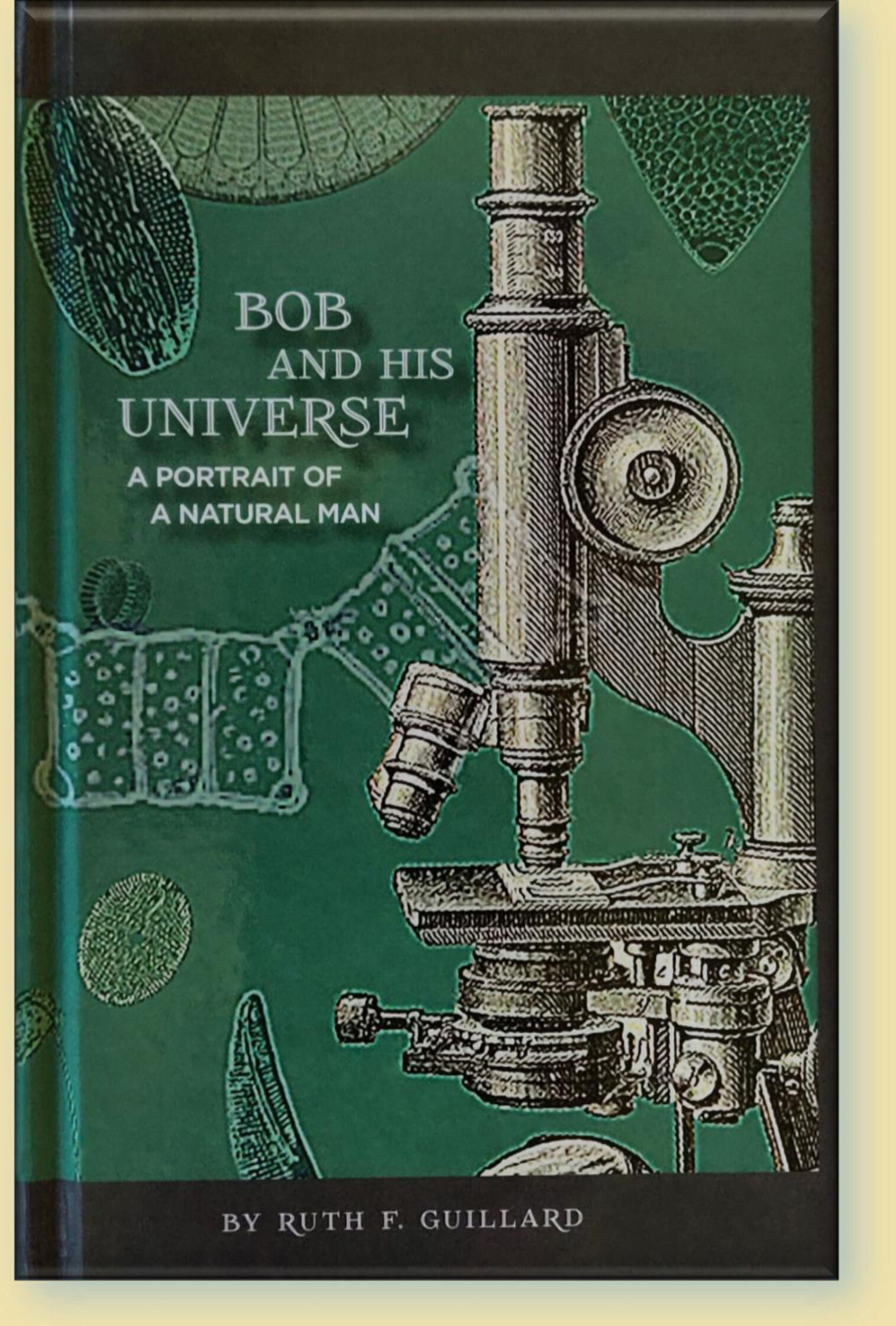 Bob front cover 3D.jpg