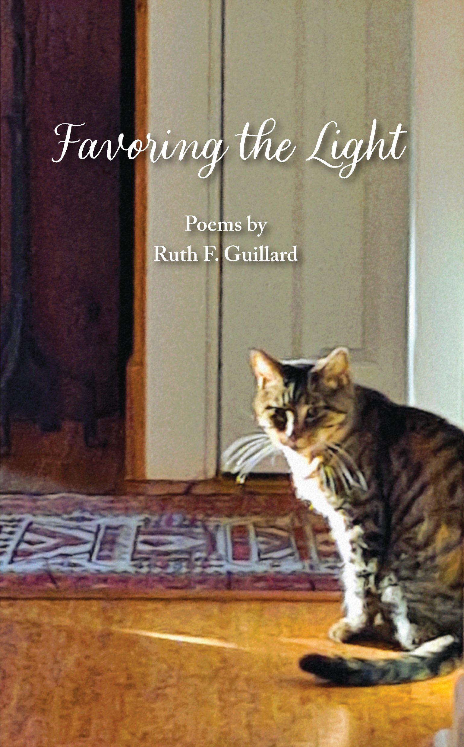 Favoring the Light Front Cover.jpg