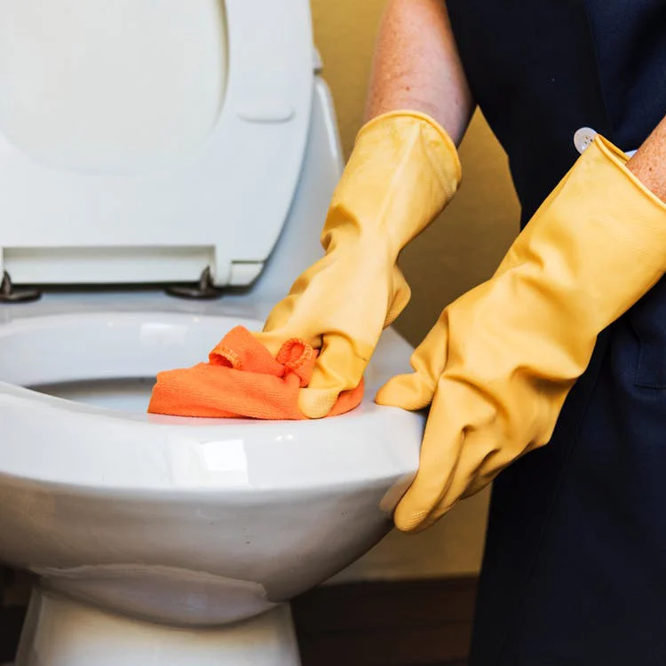 ssr_cleaning.jpg