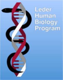 Leder Information Session