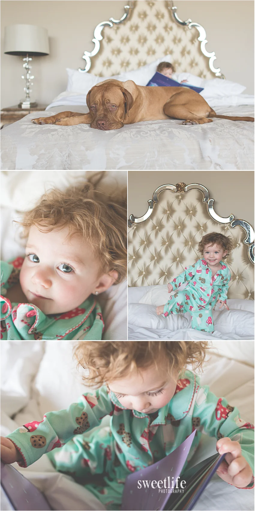 North Phoenix Lifestyle Photographer :: SweetLife Photography
