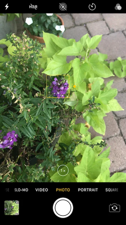 How to use your iphone's focus tool
