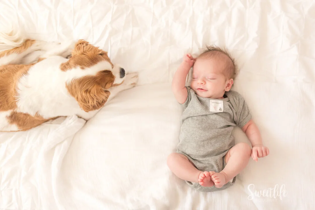 how to dress your baby for newborn photos | Sweetlife Photography