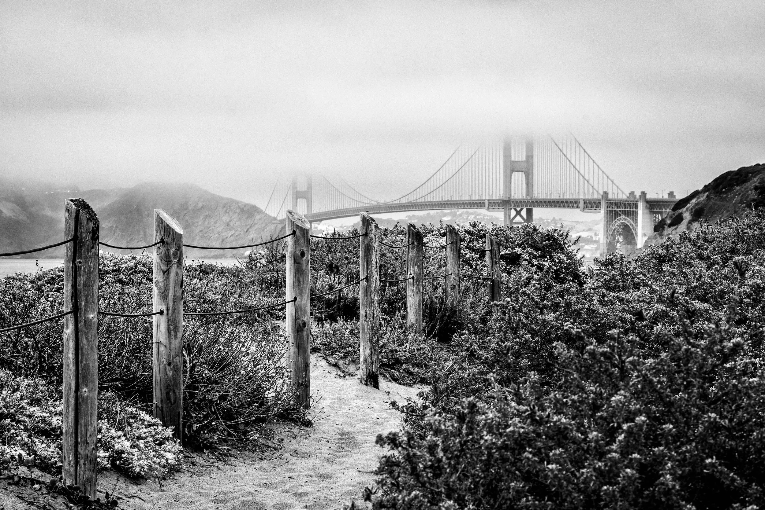 DSC_3860-Edit.jpg