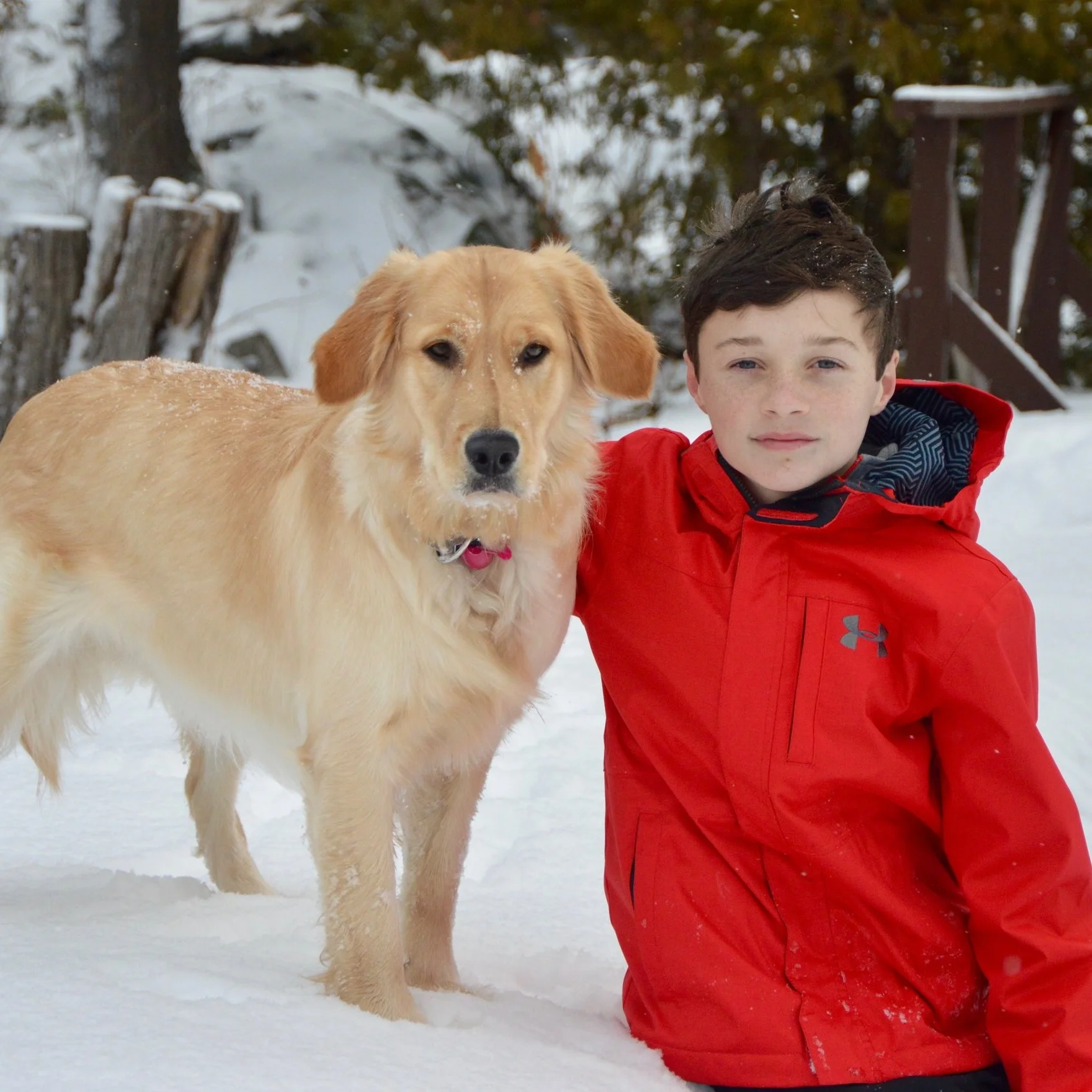 Benefits of Being a Pet Owner