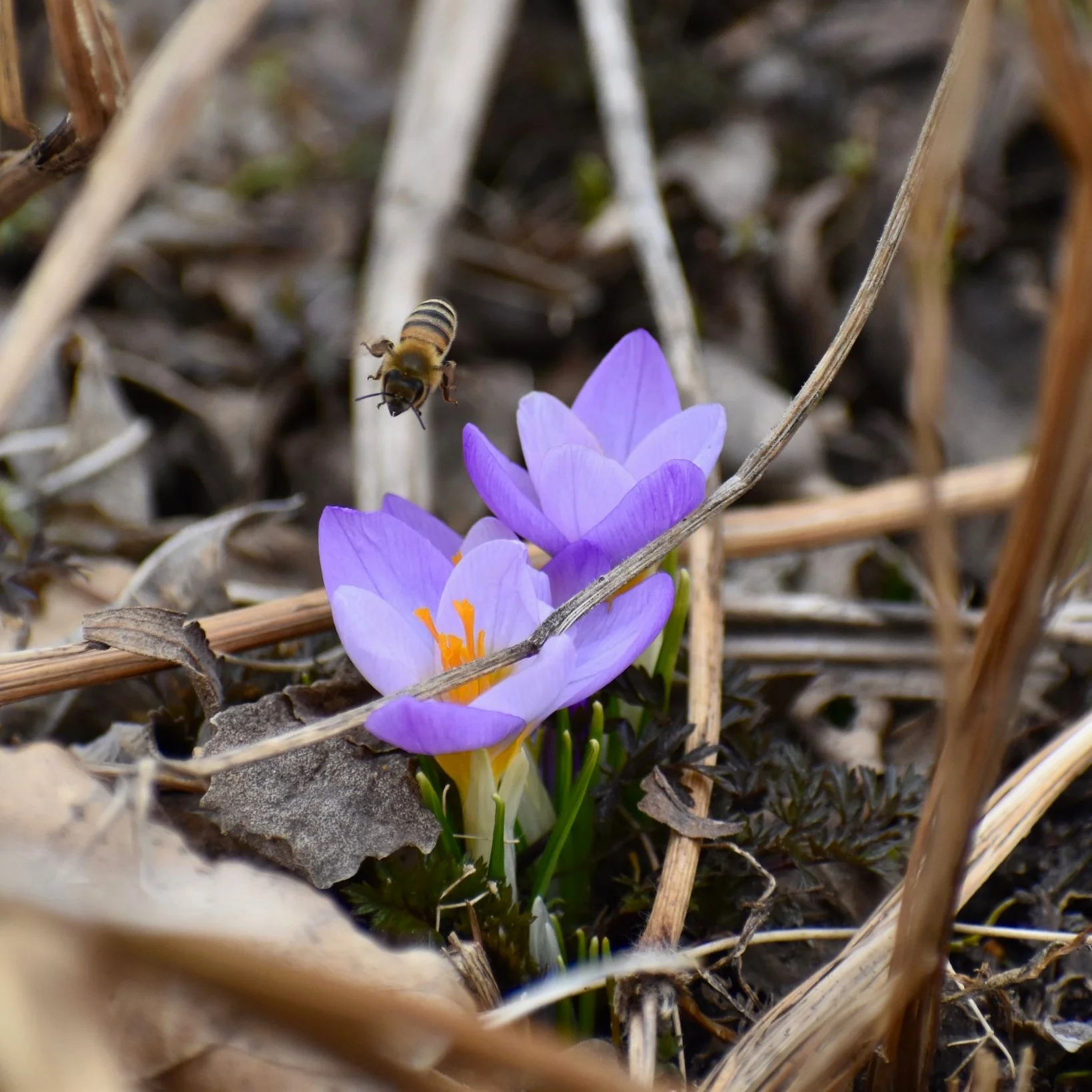 Our Earth: Holding Ourselves Accountable for Our Actions