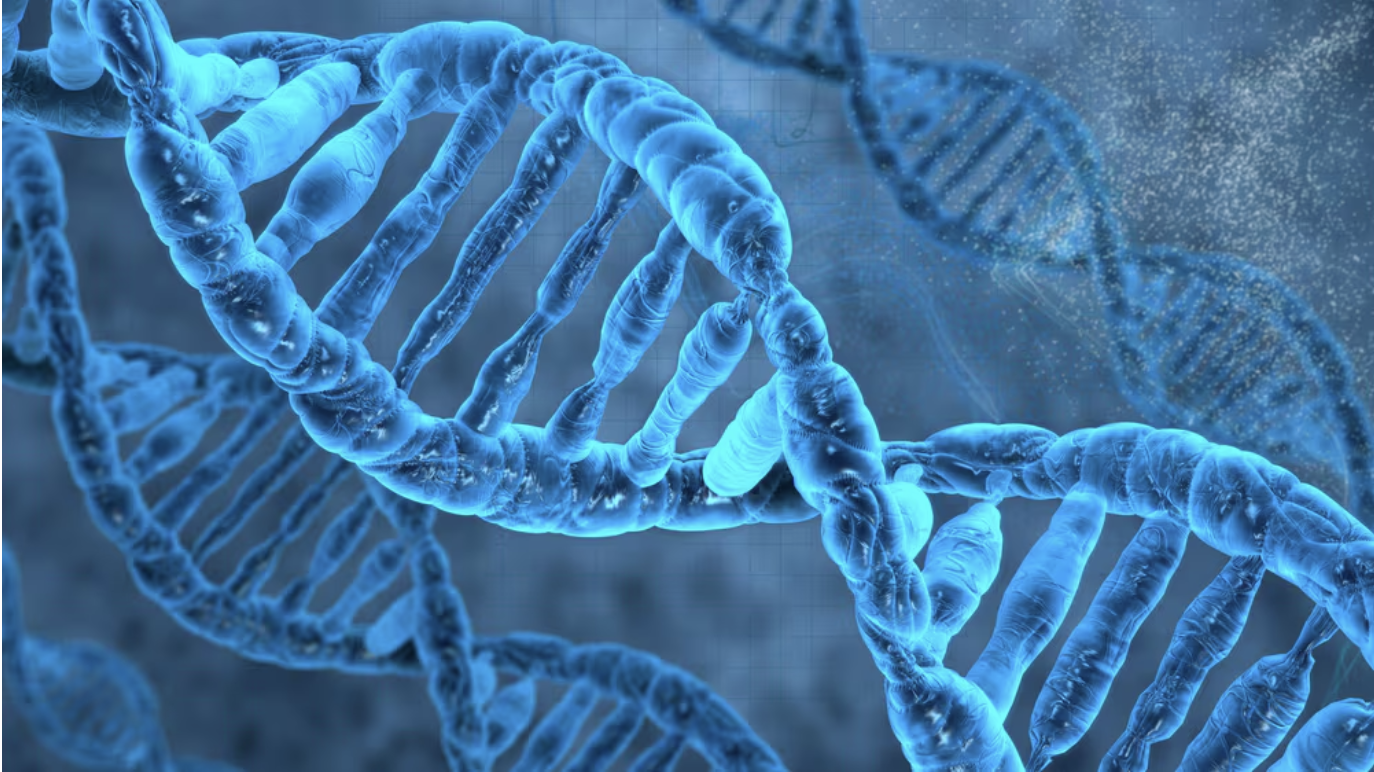 To Our Future Scientists: A Global Bio-Problem 
