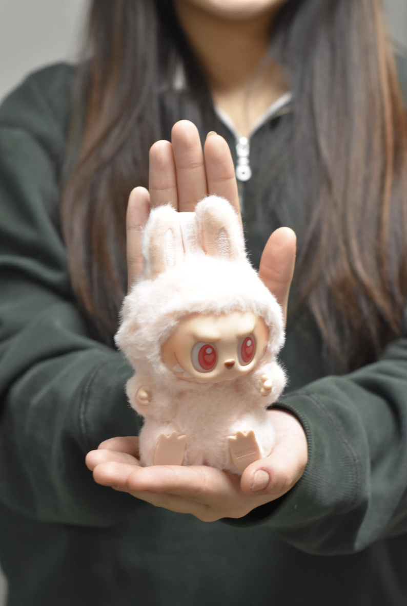 The Rise of SHEIN and Temu: Why Fast Fashion has such Low Prices