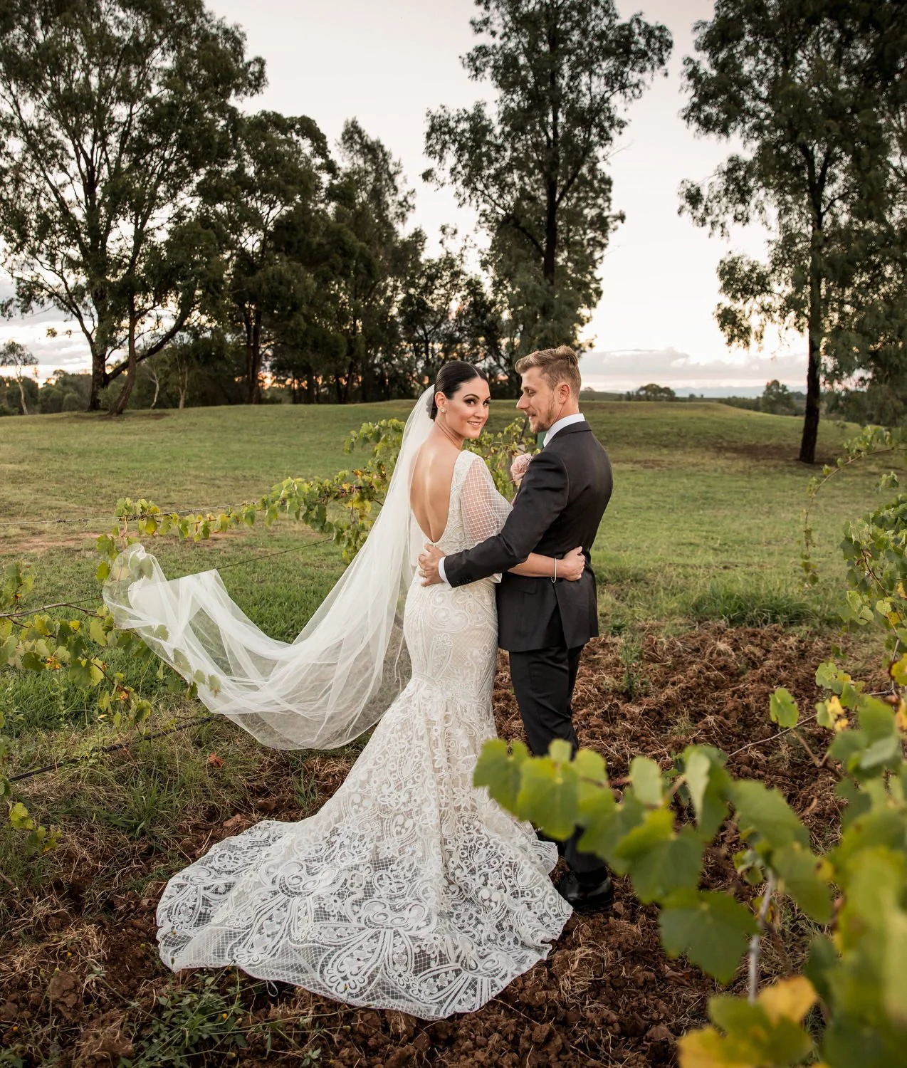 cypress lakes Hunter Valley 6184.JPG