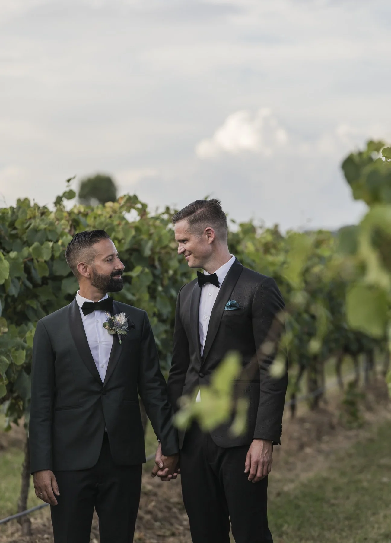 Margan wines wedding 1355.JPG