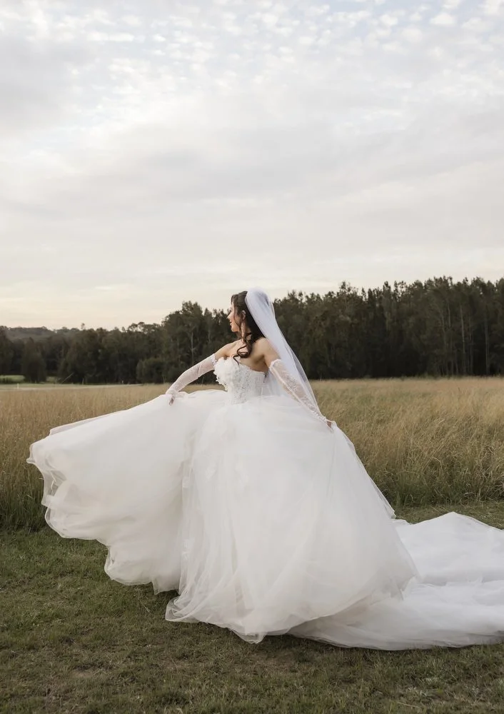 iron bark Hunter Valley 047.JPG