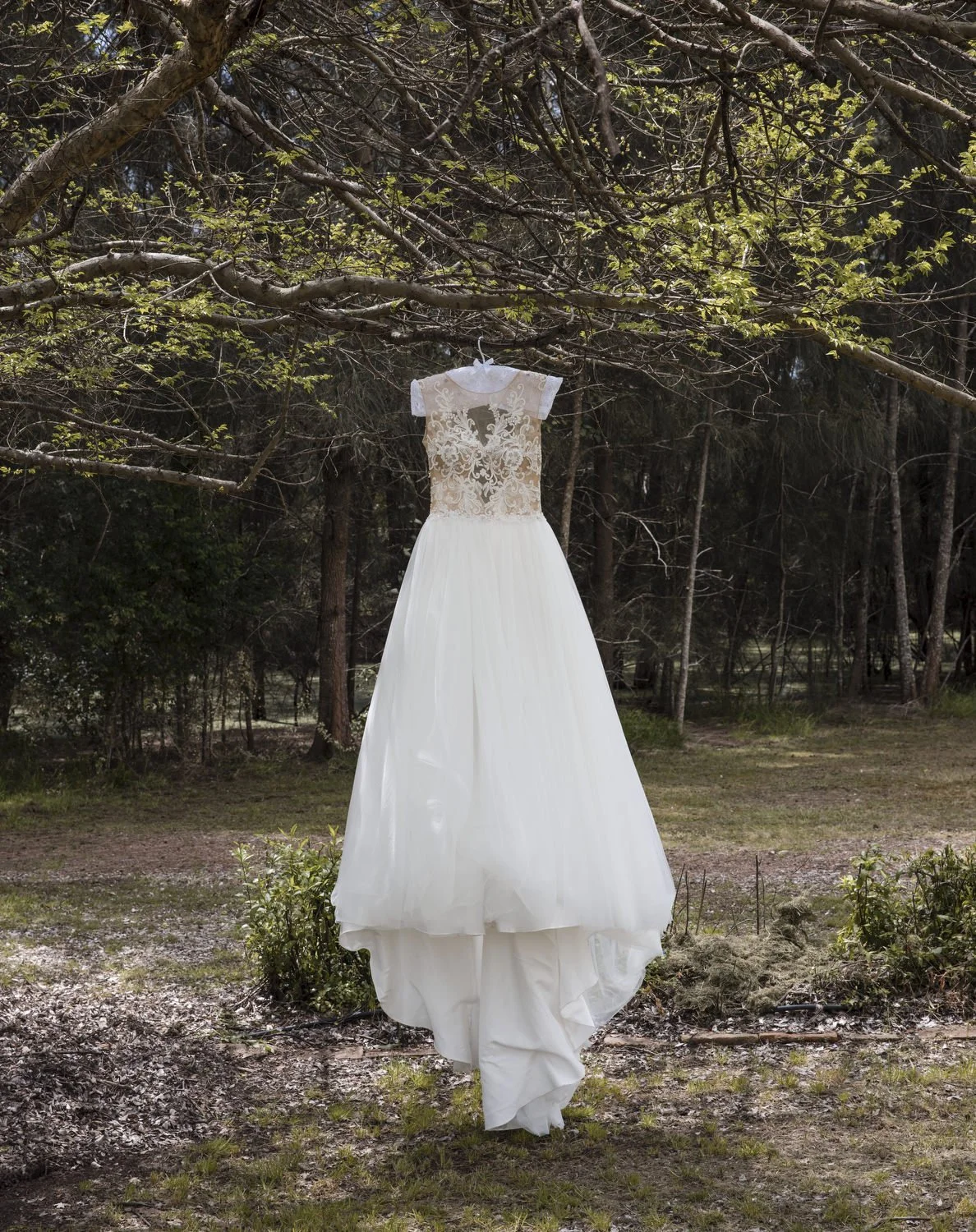 Hunter Valley photography 6561.JPG