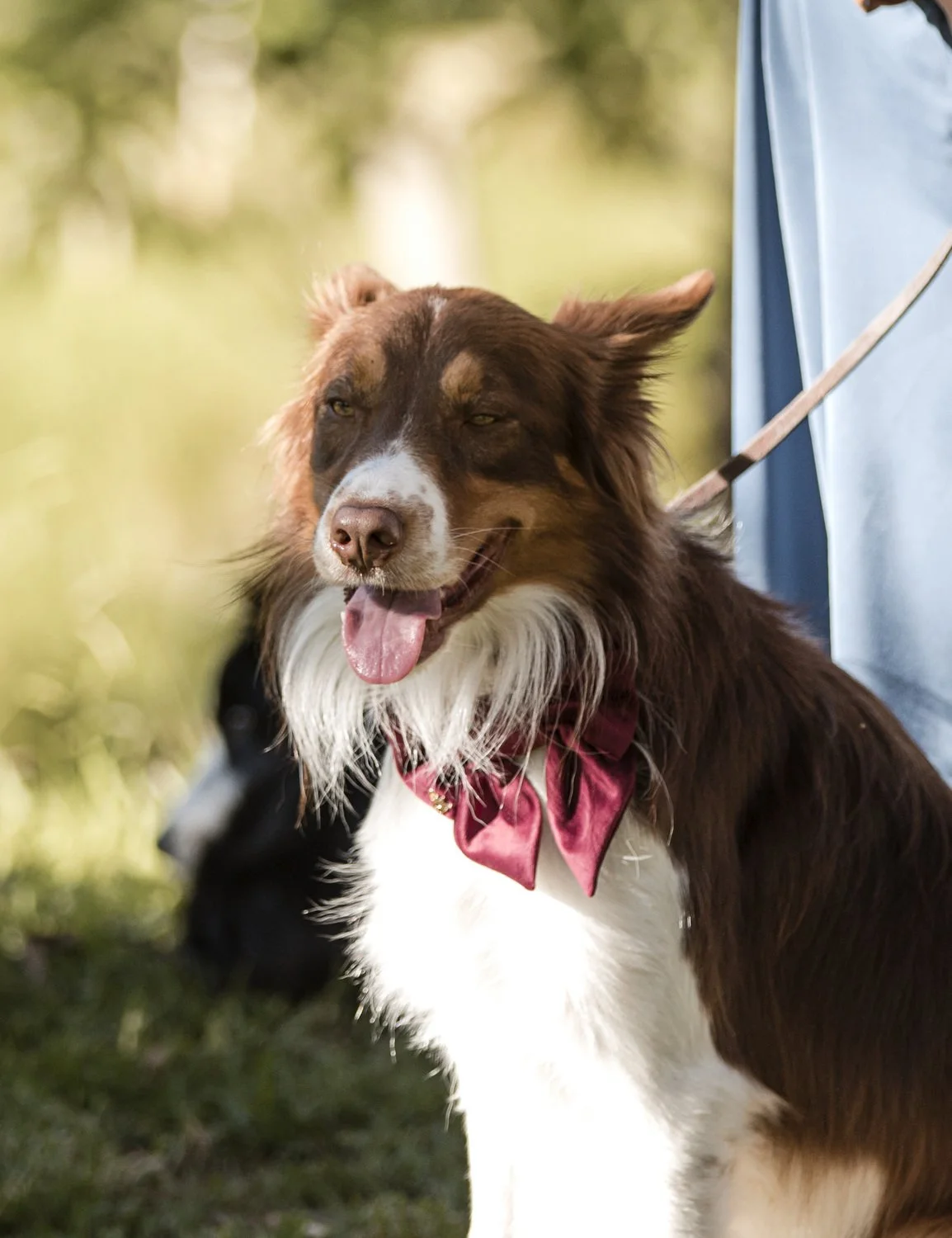 dungog wedding  0148.JPG