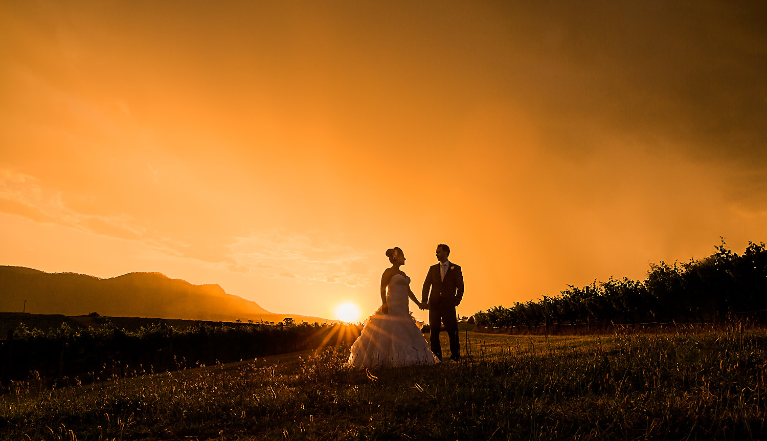 hunter valley wedding photography silhouette