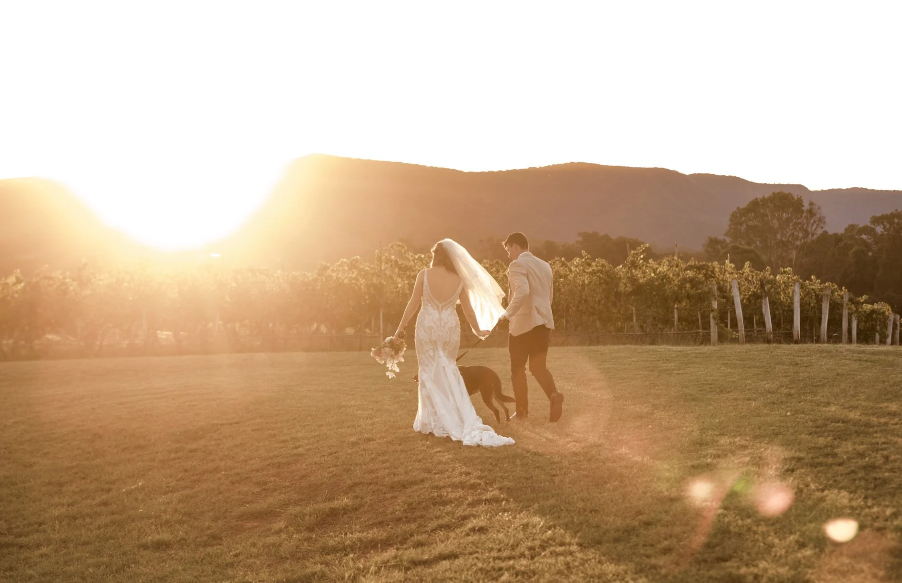 peteson house Hunter Valley  Wedding  0474.JPG