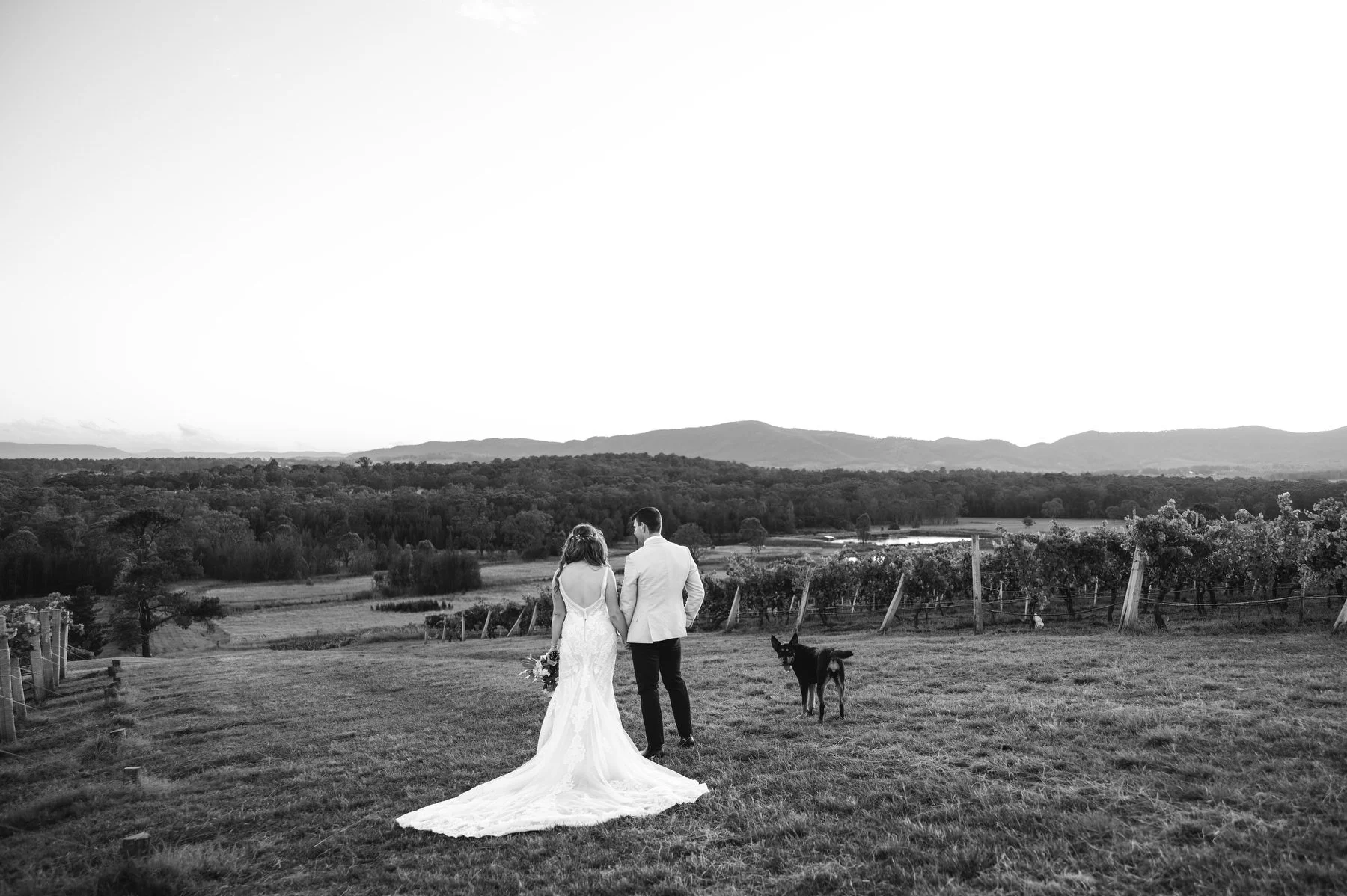 peteson house Hunter Valley  Wedding  0489.JPG