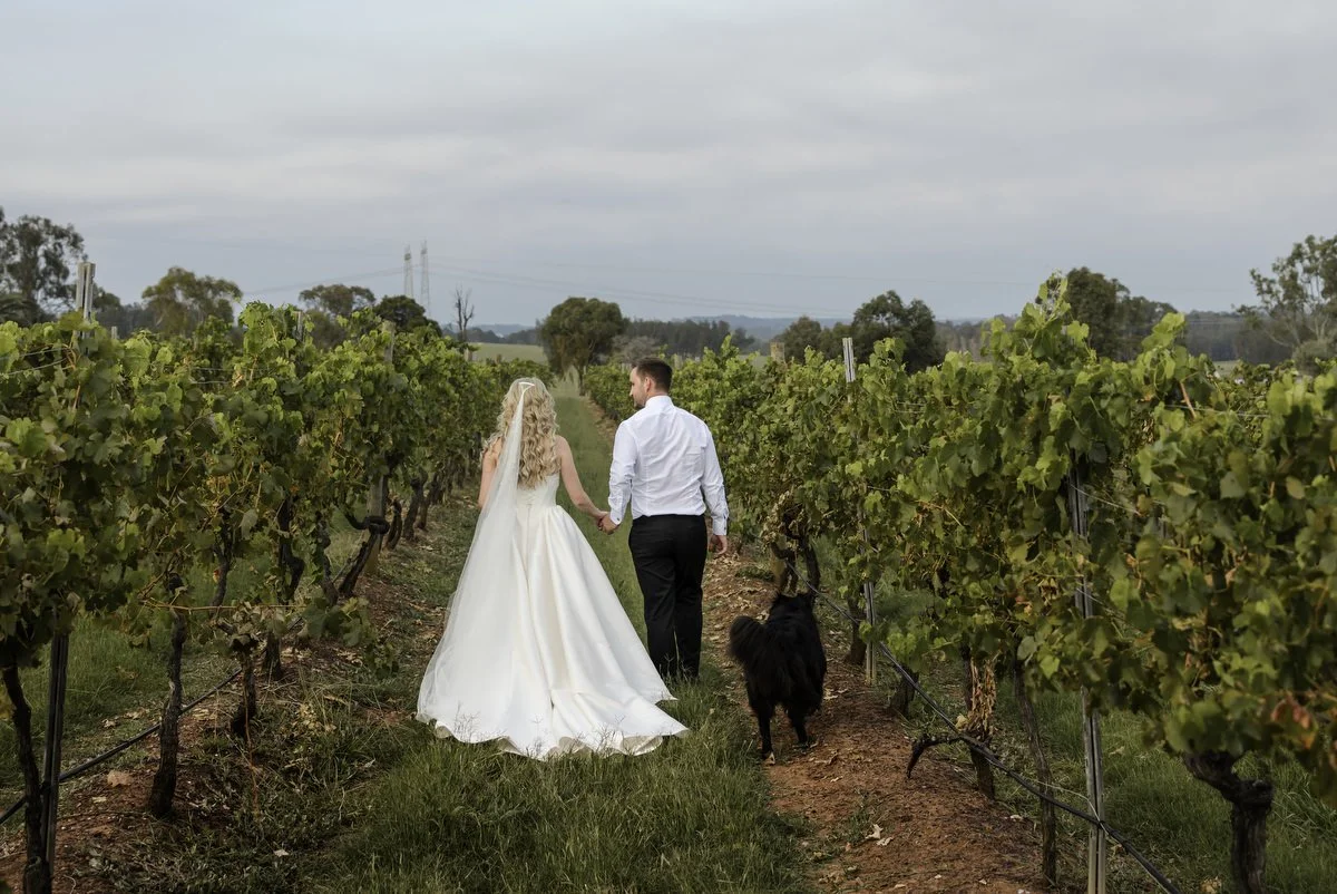 Bimbadgen  Hunter Valley 192.JPG