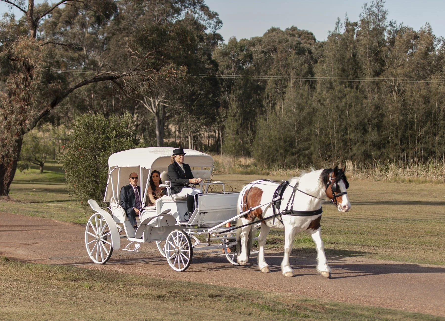 peppers creek wedding 1405.JPG