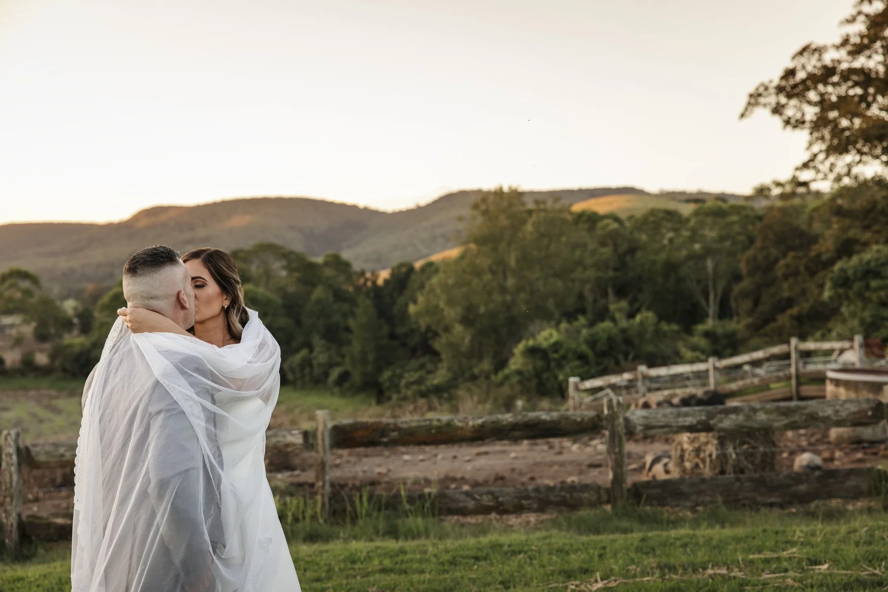 Tocal paterson 1190.JPG