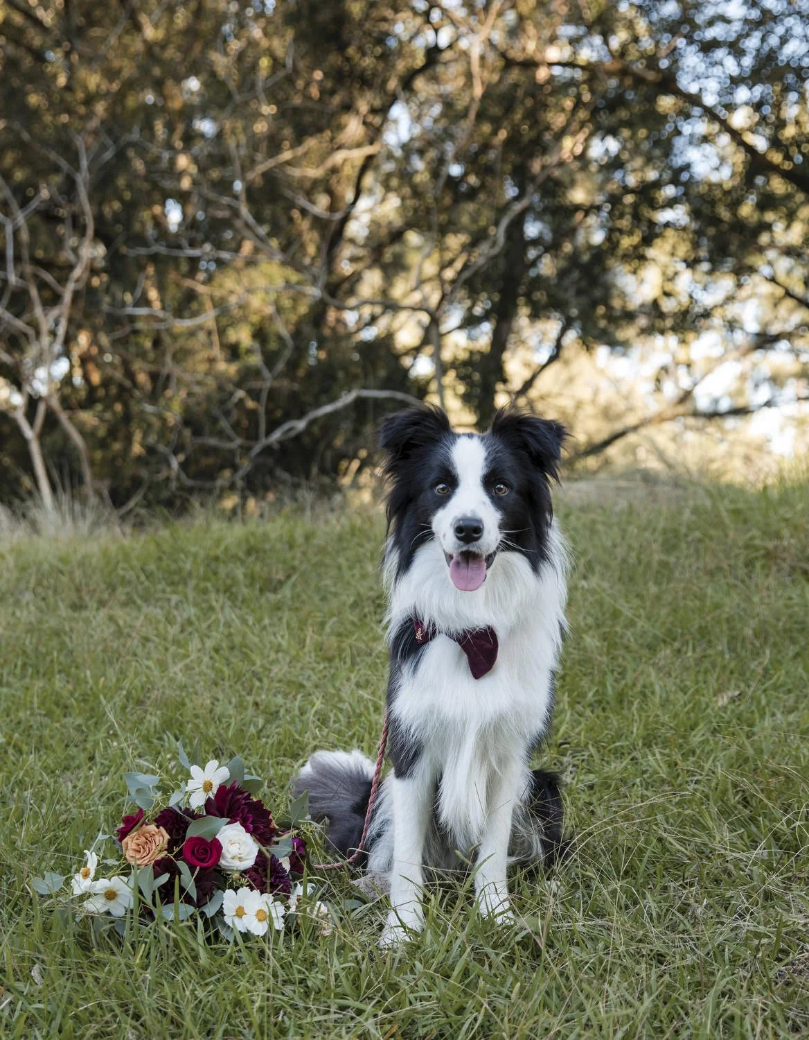 dungog wedding  0167.JPG