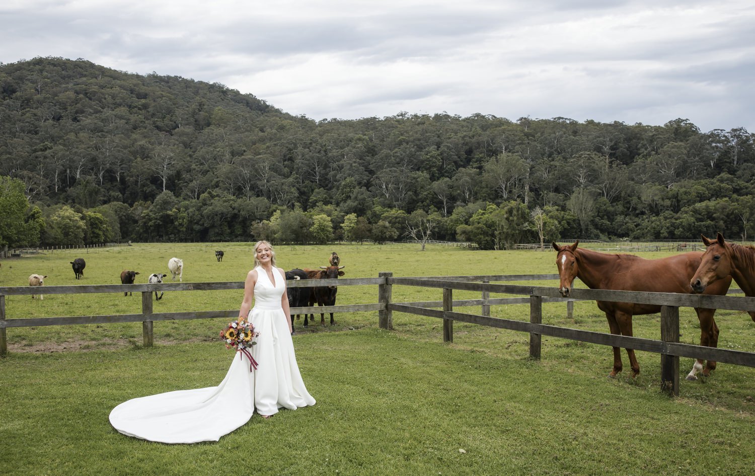 kNGY GARDENS 304.JPG