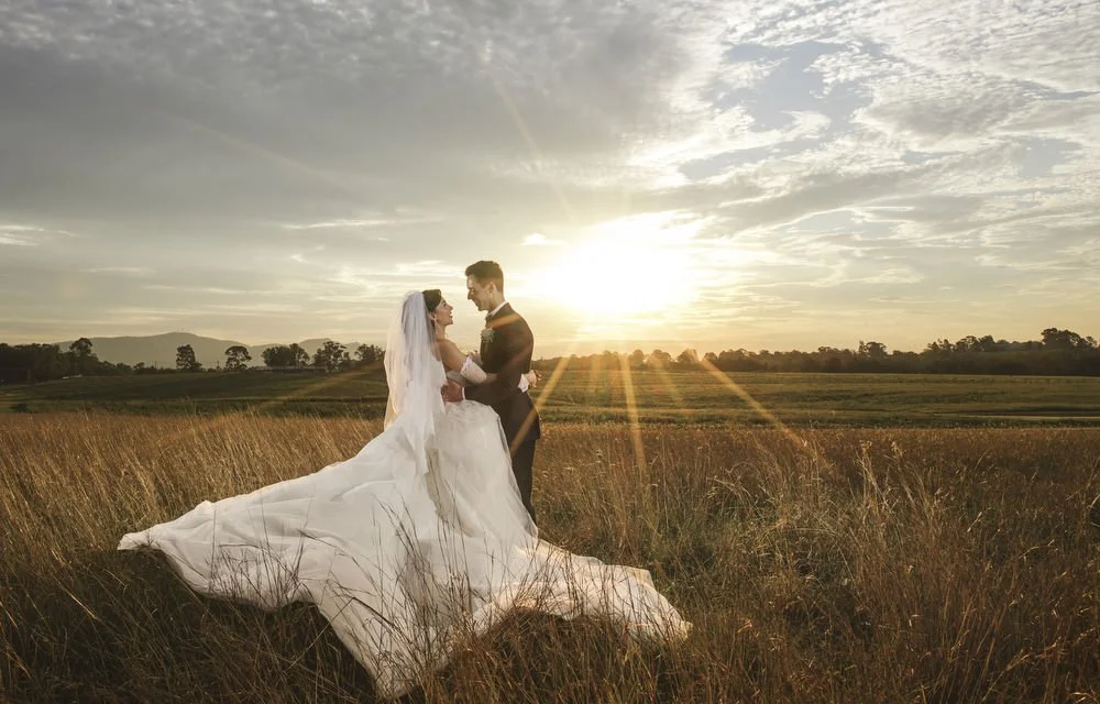 iron bark Hunter Valley 036.JPG