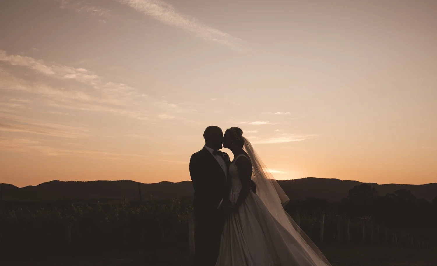  hunter Valley  6811.JPG