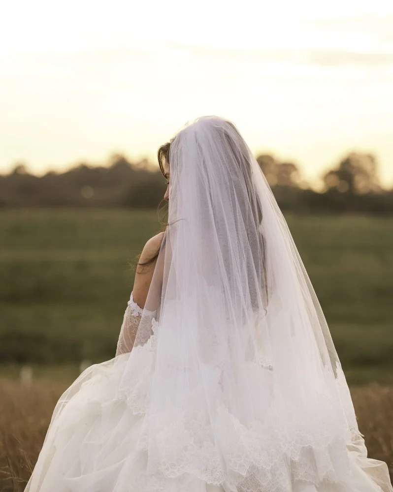 iron bark Hunter Valley 033.JPG