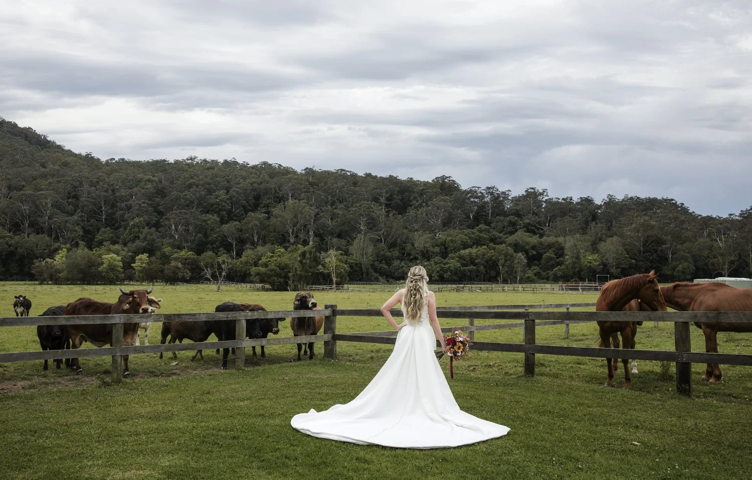 kNGY GARDENS 305.JPG