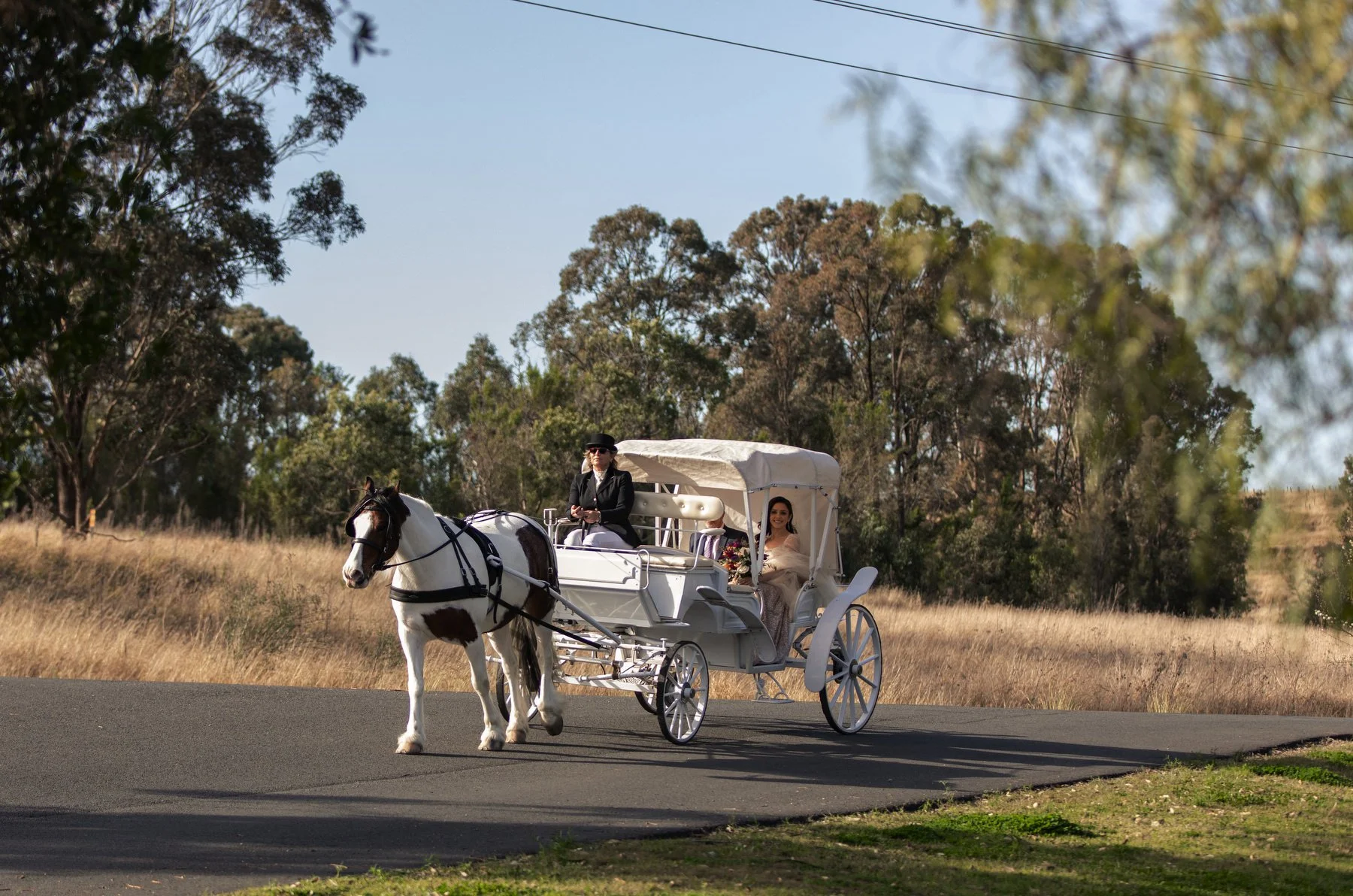 peppers creek wedding 1403.JPG