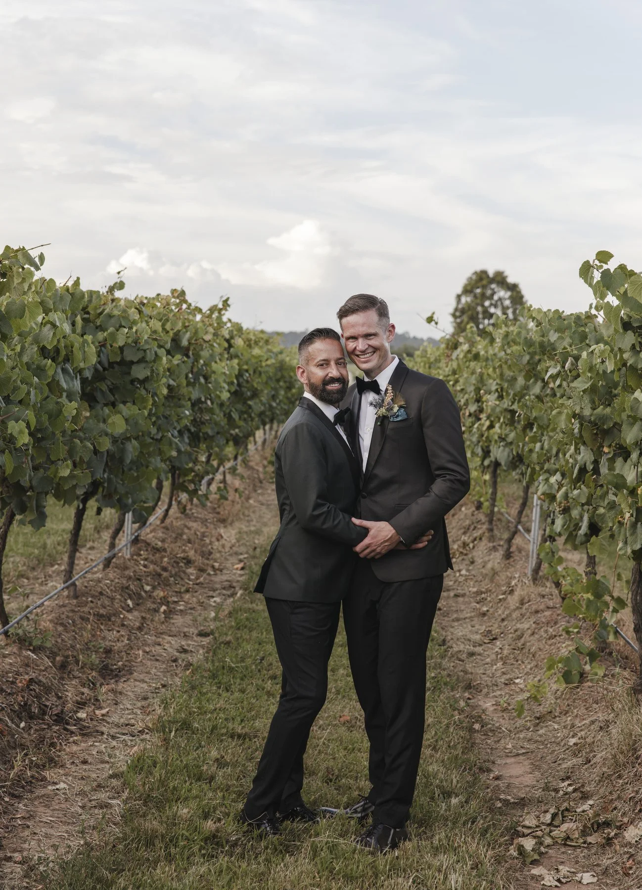 Margan wines wedding 1353.JPG