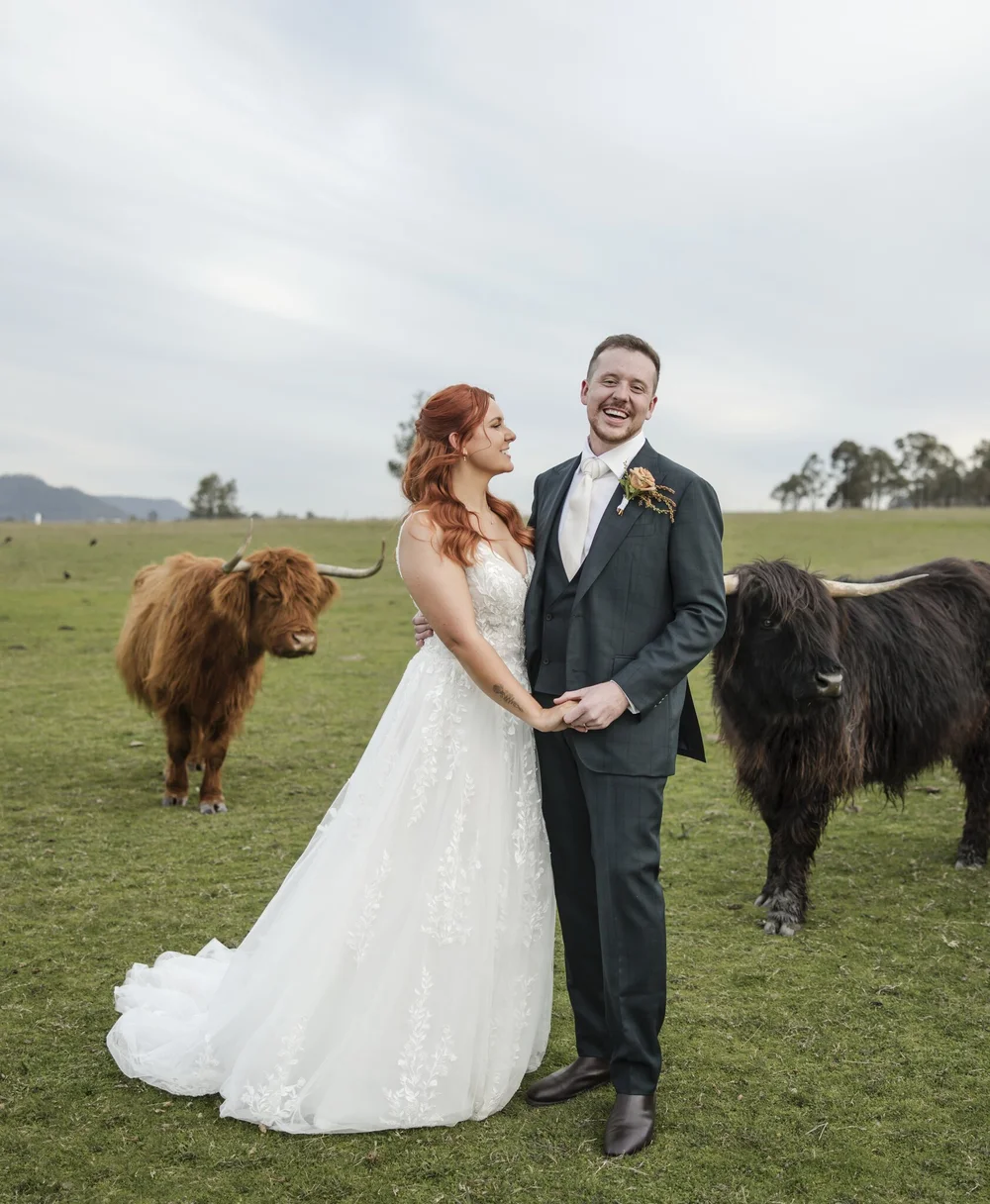 Couple laughing with two highland cattle in the paddock, Adams Peak Country Estate, Broke