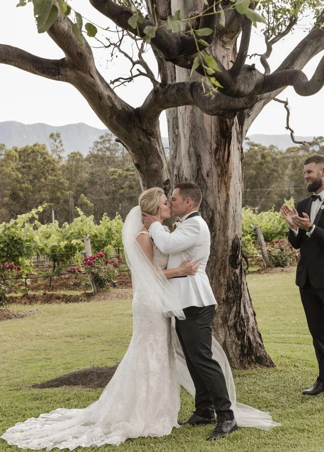 First kiss under the old gum tree with the vines and range behind, Spicers Vineyards Estate, Pokolbin